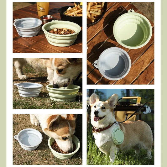 FURZION Travel Bowl™ | Collapsible Portable Dog Bowl