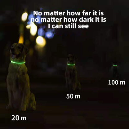 FURZION Glow™ USB Safety Collar