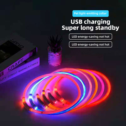 FURZION Glow™ USB Safety Collar