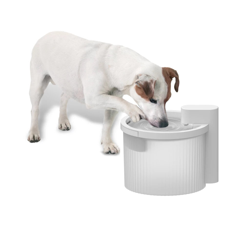 AFP Draadloze Drinkfontein voor Huisdieren – 2,5L Automatische Drinkfontein