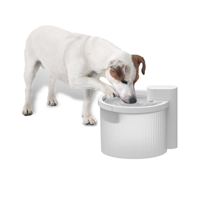 AFP Draadloze Drinkfontein voor Huisdieren – 2,5L Automatische Drinkfontein