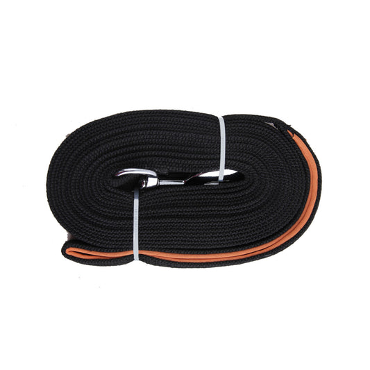 Pawise Long Training Lead